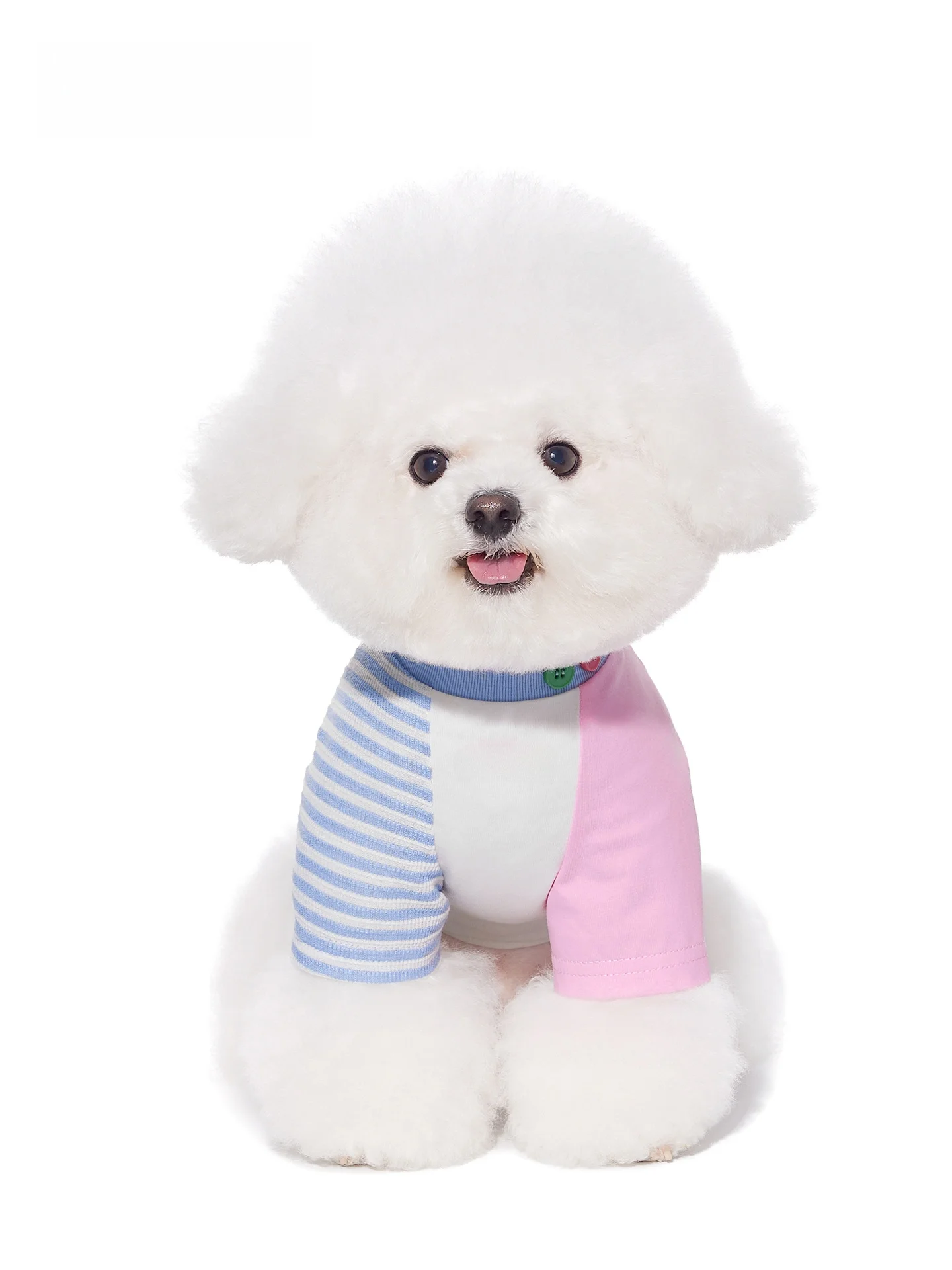 春用犬用Tシャツ：mooki petの涼感デザインが夏のペットライフをサポート