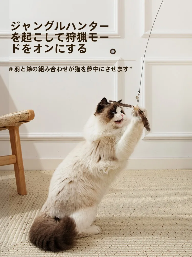 猫の遊び道具を選ぶときに迷うなら、この1つのアイテムが解決する？