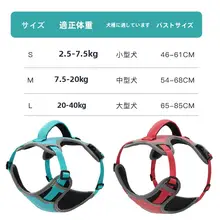 犬用ハーネスリード【テディ・ゴールデンレトリーバー対応・大型犬用】