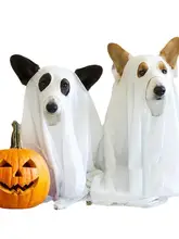 ペット用ハロウィンゴーストコスチューム【犬用ケープ・猫用変身衣装・撮影小道具】