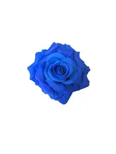 造花 シルク製バラの花【ウェディング装飾・DIY用花飾り・単体】