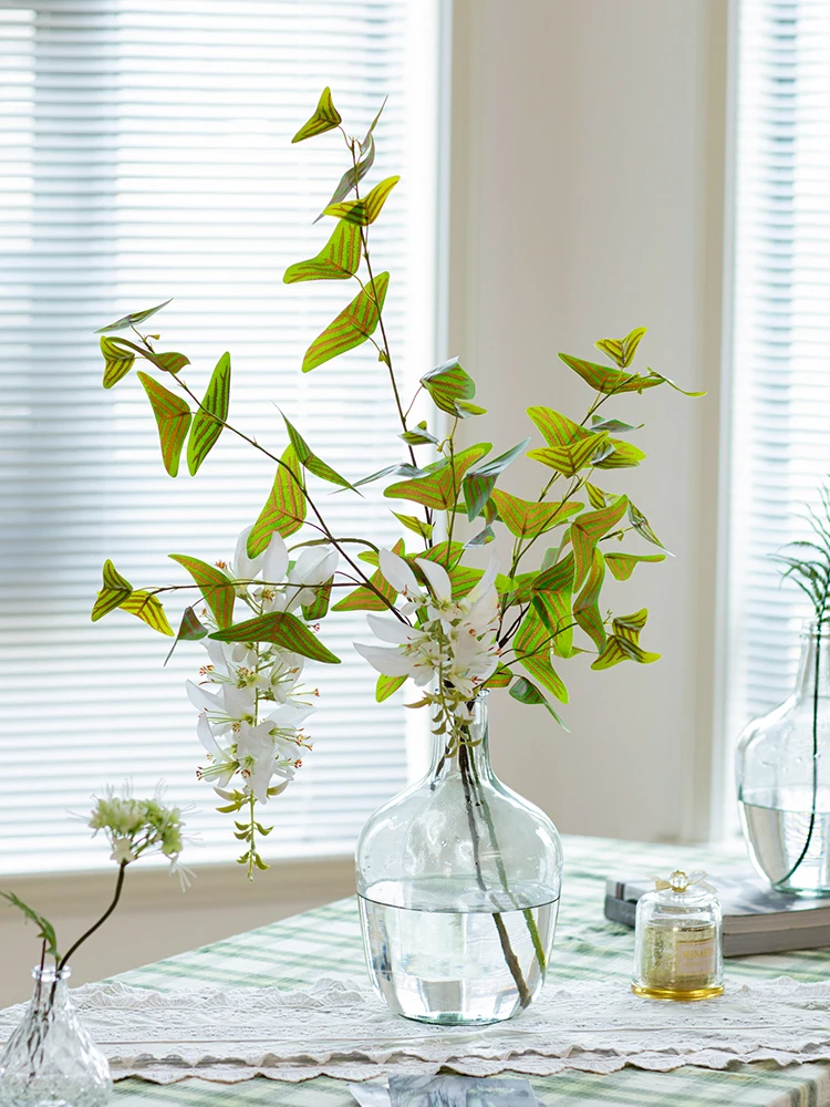 揃えるミニマリスト部屋づくりアイテム - 飛行機草と高枝植物の実際の使い方