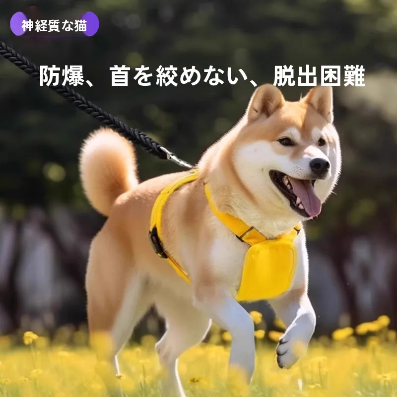 キャンプで犬が安心し  て過ごせるアイテムは？厳選4選