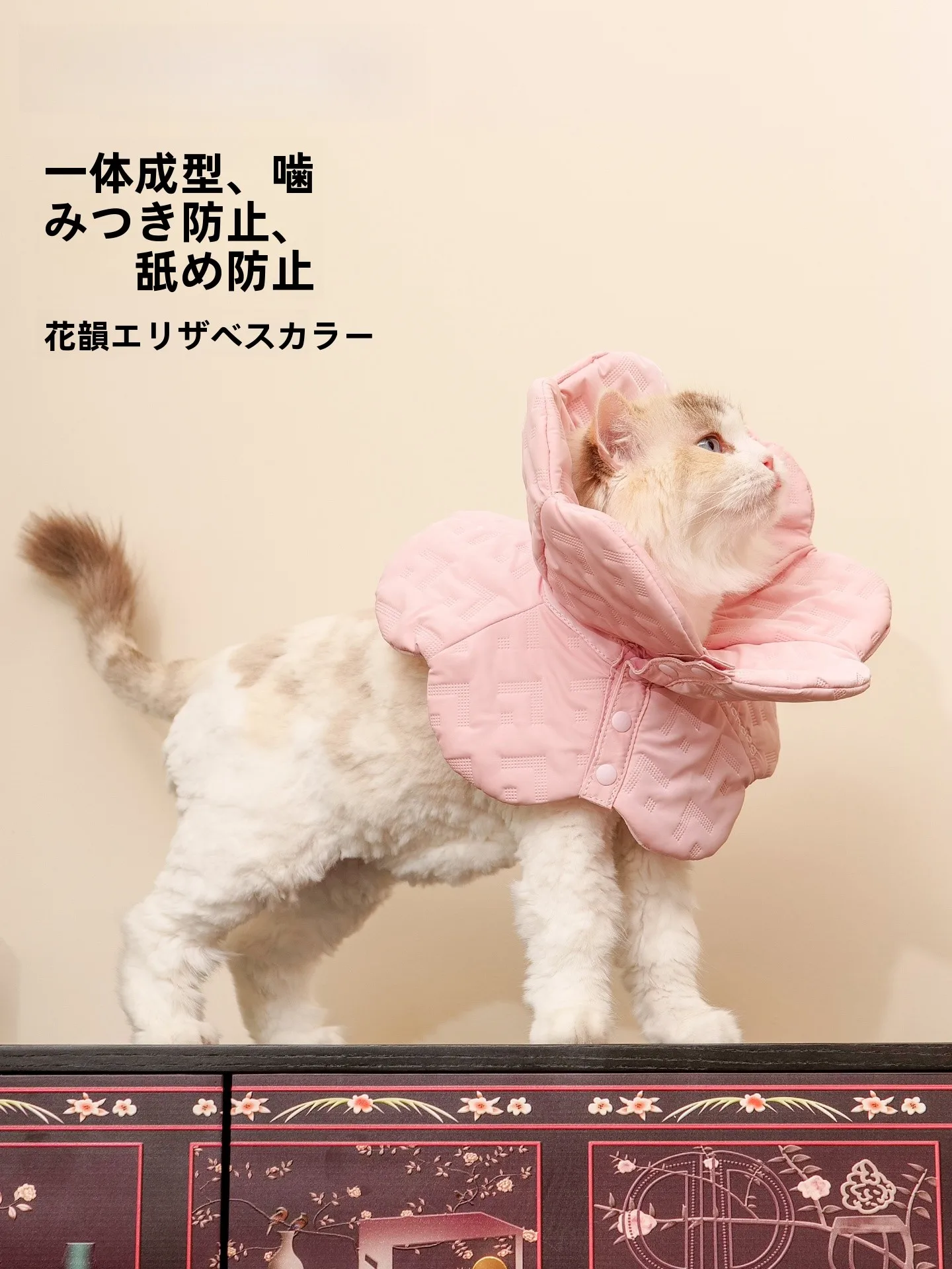 防災時にも安心できる、犬や猫に使えるエリザベスカラーはどれがおすすめ？