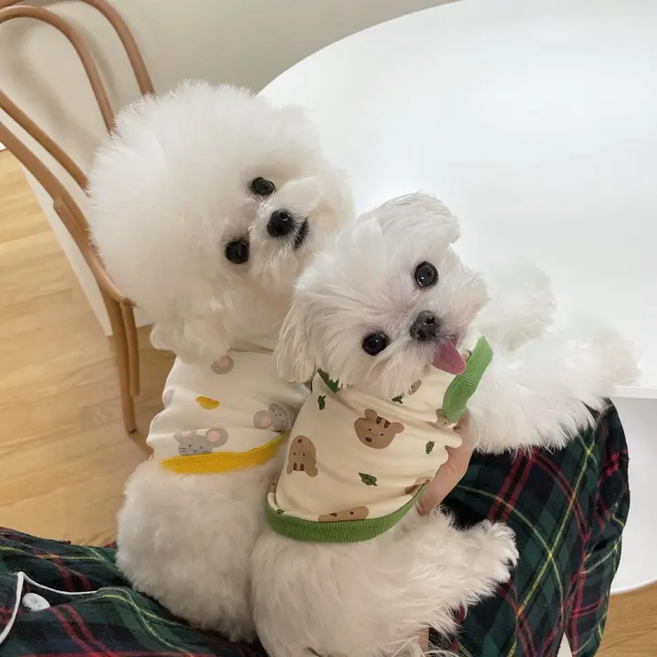 可愛らしい春用ペット服【薄手・犬用キャミソール・中小型犬対応】