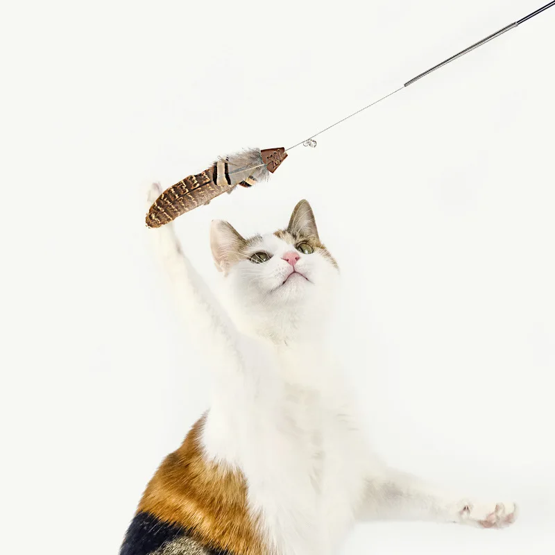 かくれん棒の効果は？猫じゃらしおもちゃが子供の発達に与える本当の影響とは