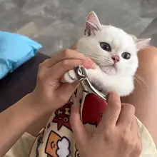 猫を包む布製固定バッグ【自粘式・爪切り用・防抓防咬機能・洗濯可能】