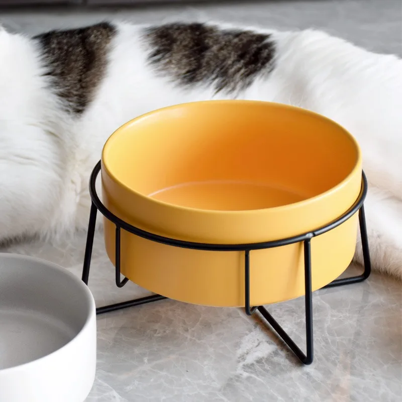 猫飼いが買ってよかったもの・悪かったもの、正直に言うなら？