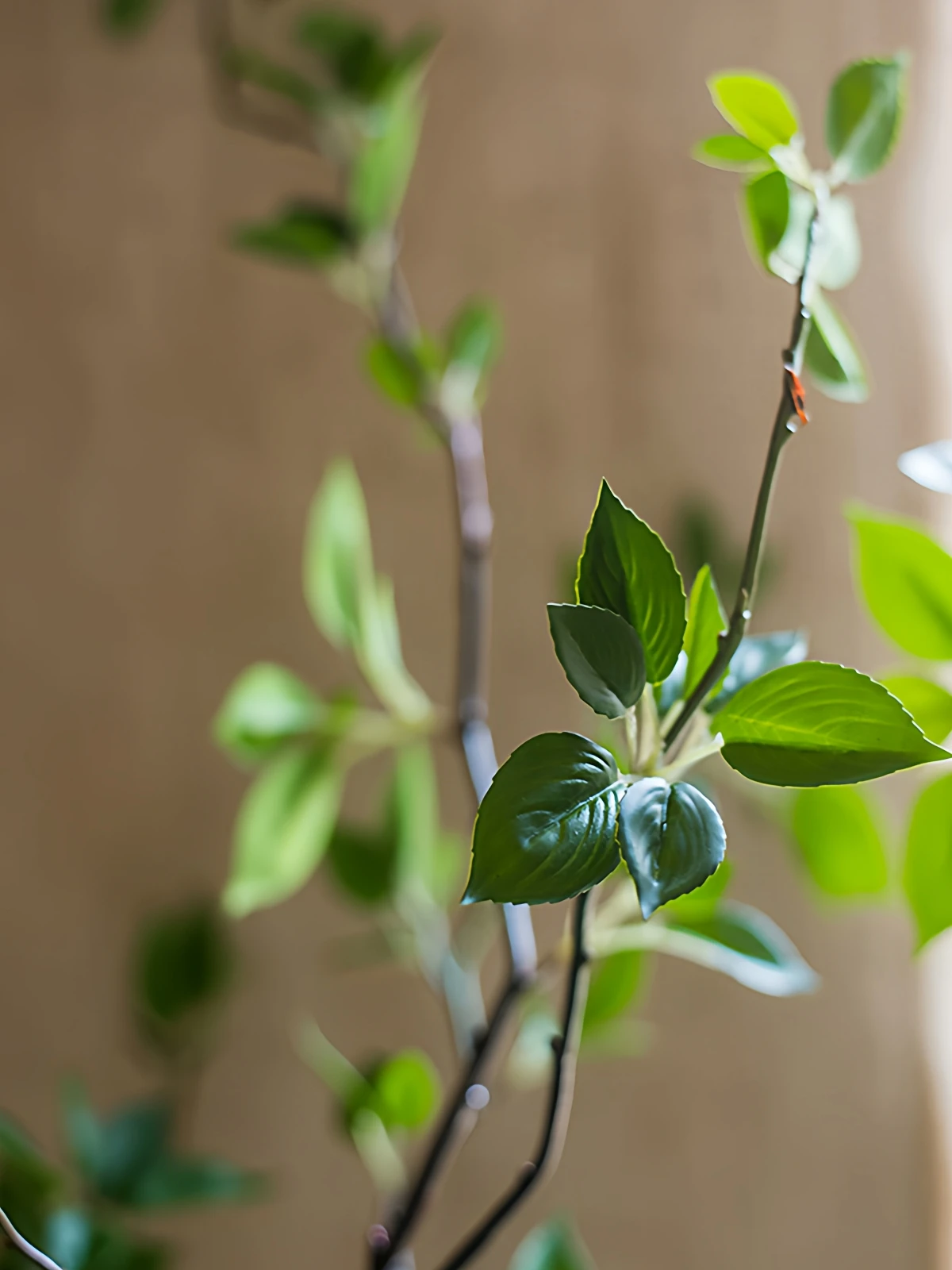 フェイクグリーンツバキ ワンルームと客間で活用する北欧風大型装飾植物