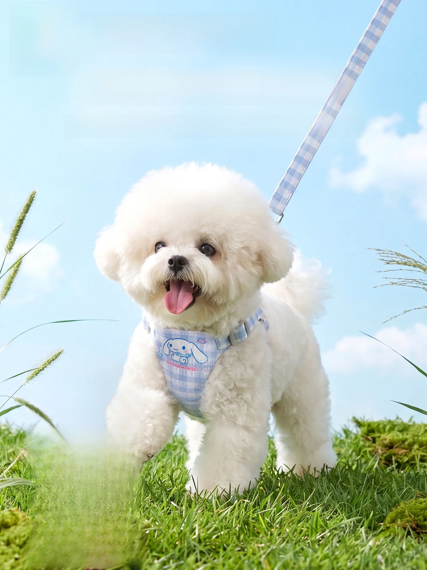 hipidog ハーネスタイプの牽引ロープ：小型犬用の通気性と伸縮性を実証