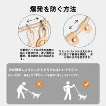 中大型犬用強化リード【逃げ防止・小型犬対応・トレーニング用】