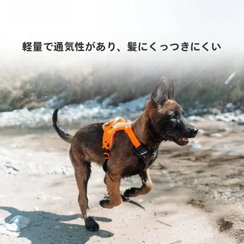 犬のお散歩グッズをコスパ良く揃える方法 - 透気性・撥水性を備えた引き綱ハーネスの技術的背景