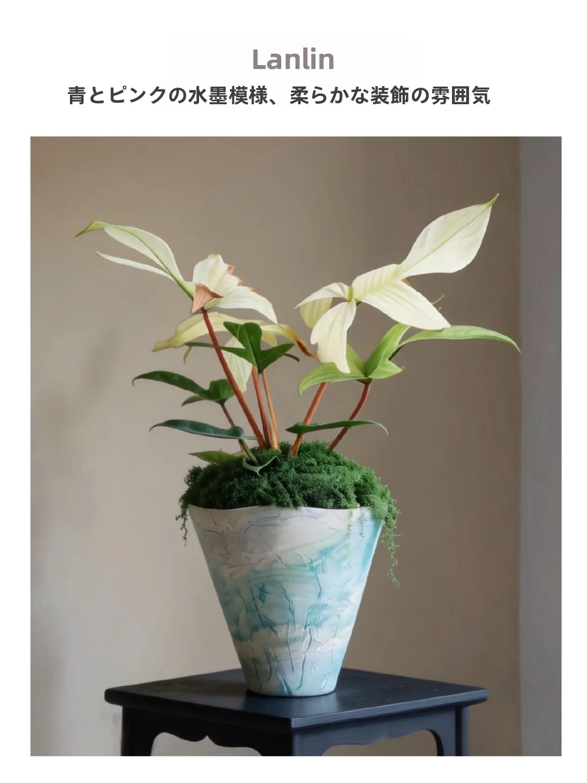 南天鉢植えを「おしゃれ」に仕上げるには、どうやって選ぶべきか？