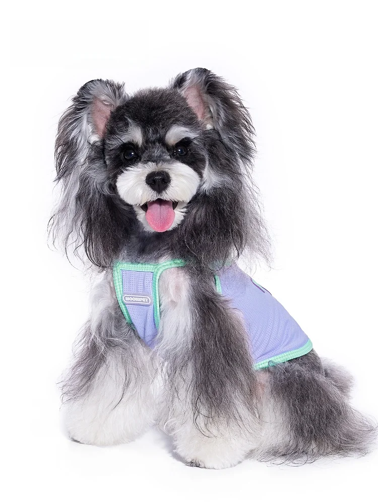 犬のお散歩グッズをコスパ良く揃える方法｜失敗しない選び方の完全ガイド