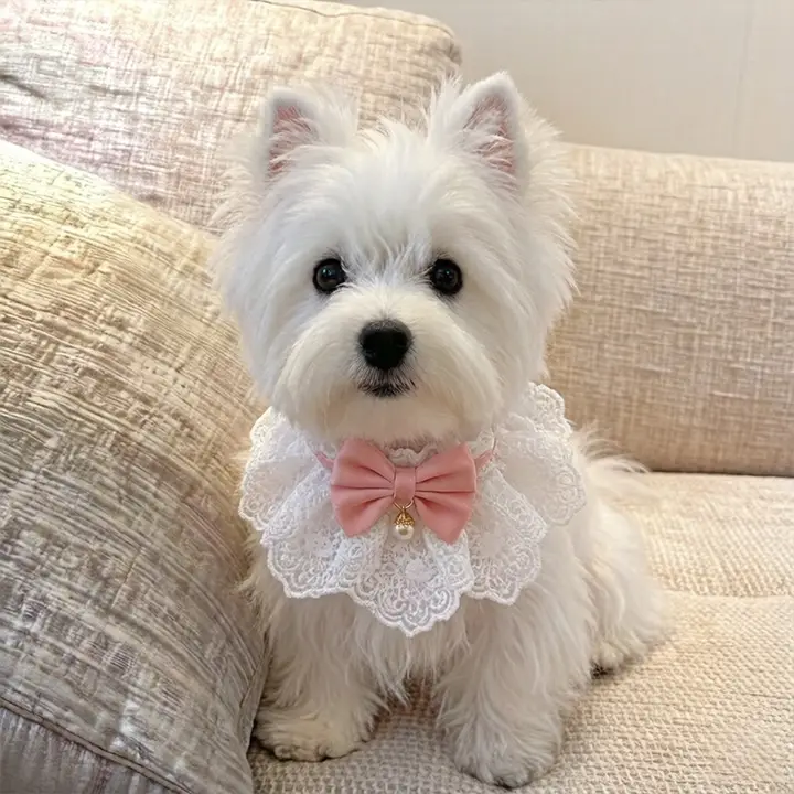 犬用口水タオル【小型犬用・ウエストハイランドホワイトテリアスタイル・リボン付き・ペットアクセサリー】