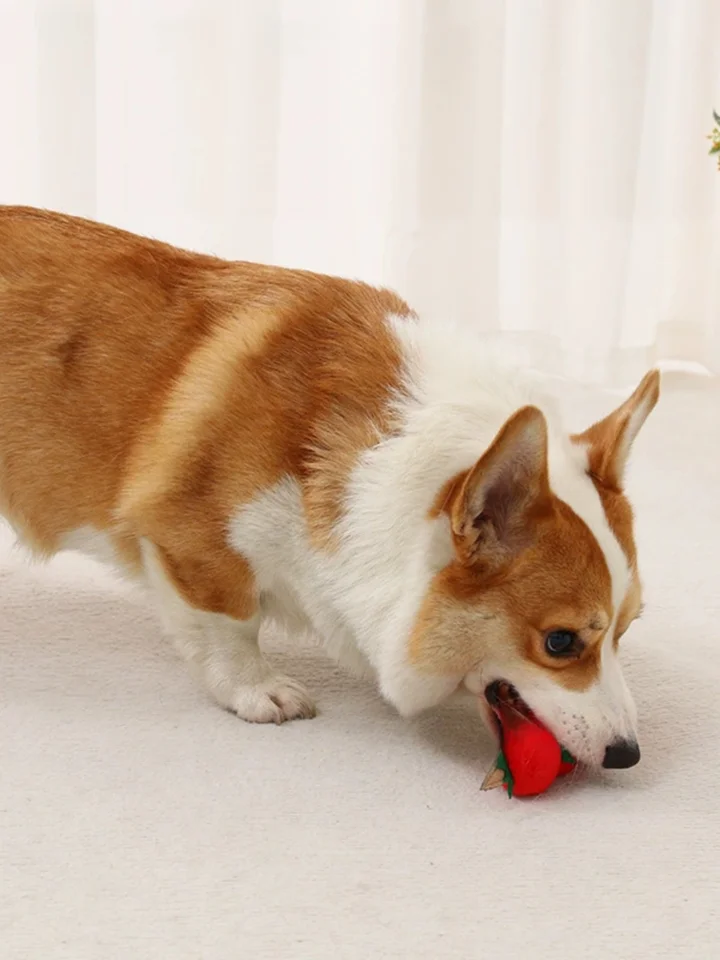 犬用おもちゃ 火鍋グリル風アニマルドール【中小型犬用・耐噛み・音鳴り・麻紐付き】