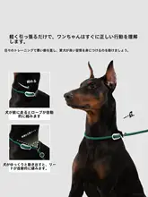 調整可能な犬用リード【中型・大型犬対応・二重ロック・防爆仕様】