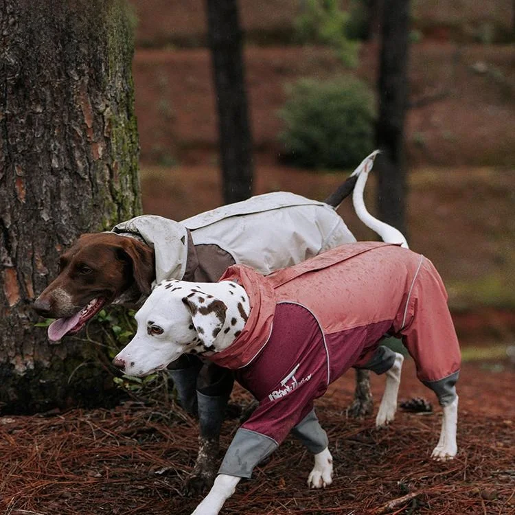 犬のお散歩グッズをコスパ良く揃える方法｜防水透湿レインコートの実際の使い方と選び方