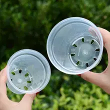 透明プラスチック製 ミニ育苗ポット【通気性・厚手・ラン用】