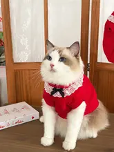 ロリータ風猫ニットセーター【秋冬用・レース付き・赤・暖かさ・お祝い用】（セットアップ対応）