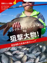 高碳素材の超軽量ショートヘッドフィッシングロッド【多用途・硬め・手竿】（セットアップ対応）