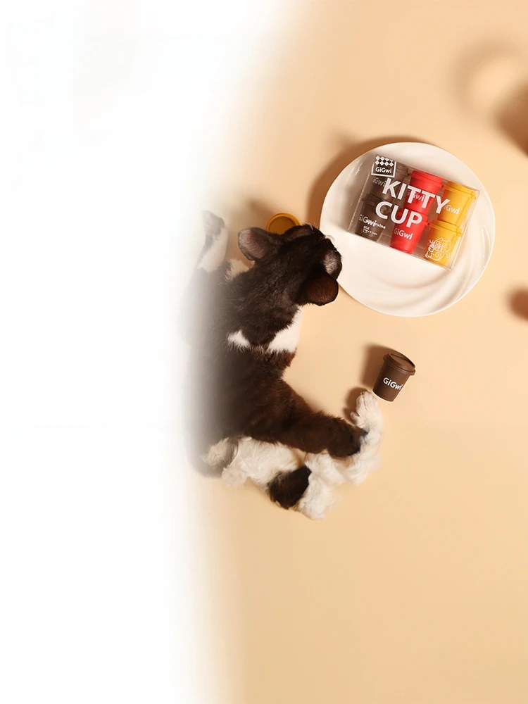 猫飼いがTAOで買ってよかったもの・悪かったもの正直に言う　完全ガイド