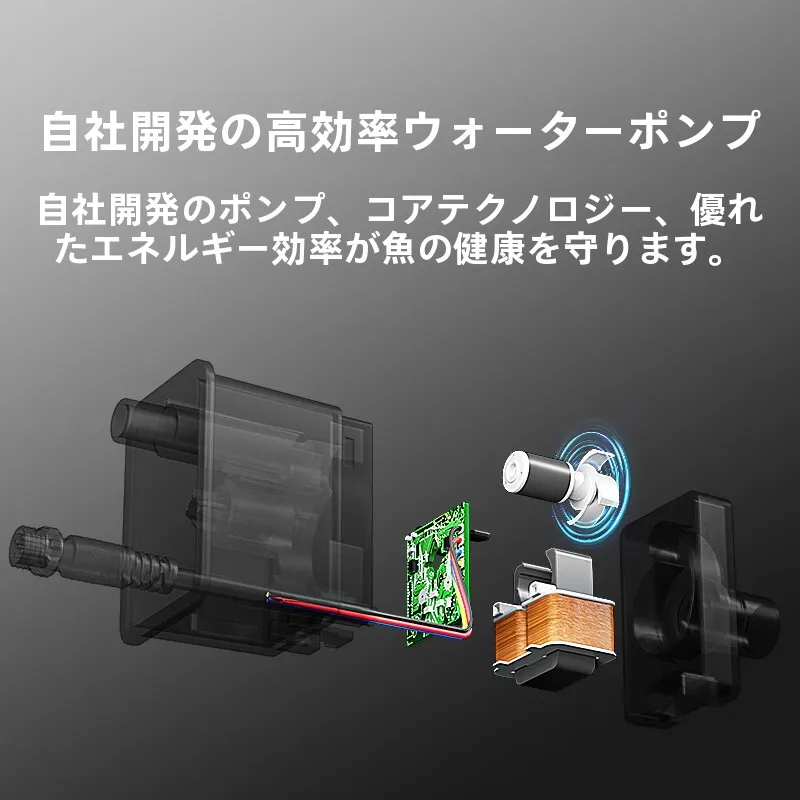 金魚水草セット：小佩 スマートデスクトップエコ水槽の実用性と適応シーン