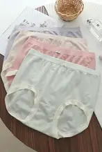 高機能抗菌 大きいサイズ ハイウエスト女性用インナー【伸縮性抜群・快適な履き心地・シームレスデザイン】（セットアップ対応）