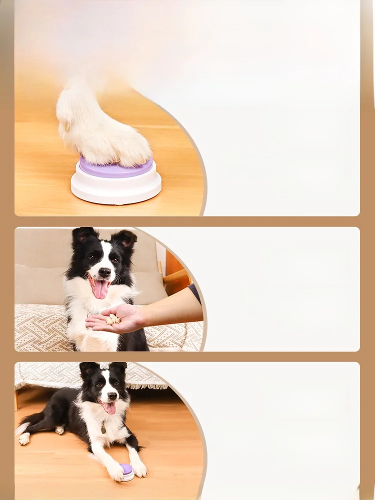 ペット用コミュニケーションボタン：初心者向けの音声対話機能と遊びの実用性