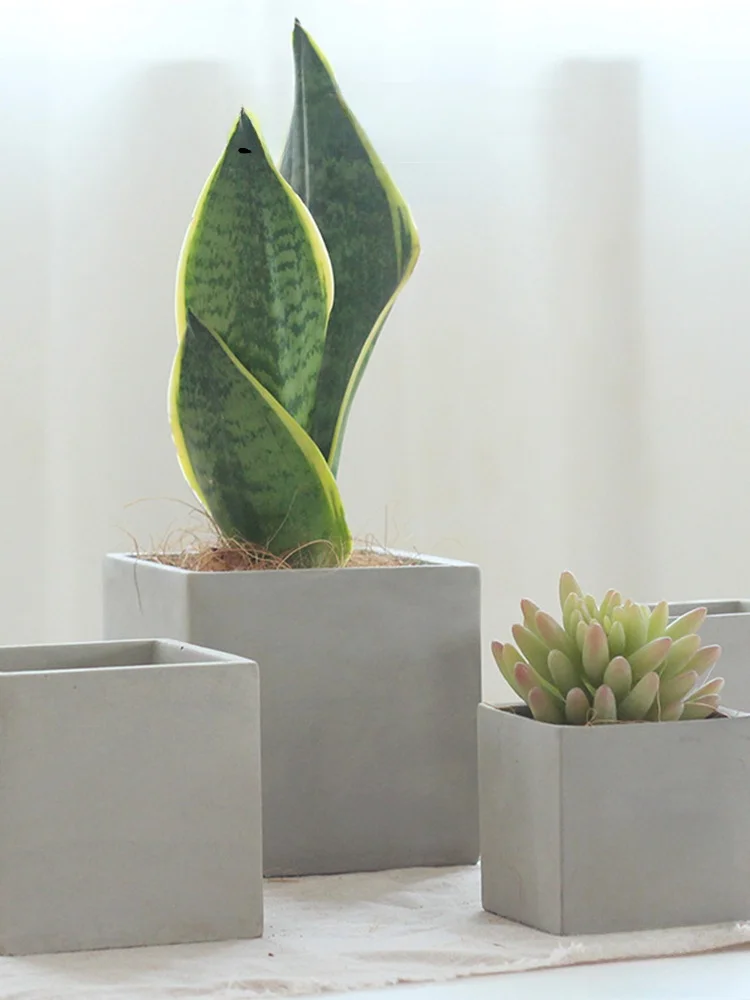 安い観葉植物用の鉢を選ぶときに迷うのは、本当に価格だけなのか？