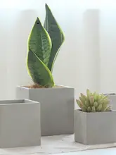 北欧風 シンプル 水泥製ミニ花盆【トレイ付き・個性的なデザイン】