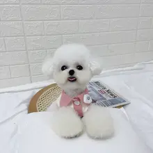 春夏用ペットウェア【カラーブロック・ボタン付き・薄手・犬猫用】
