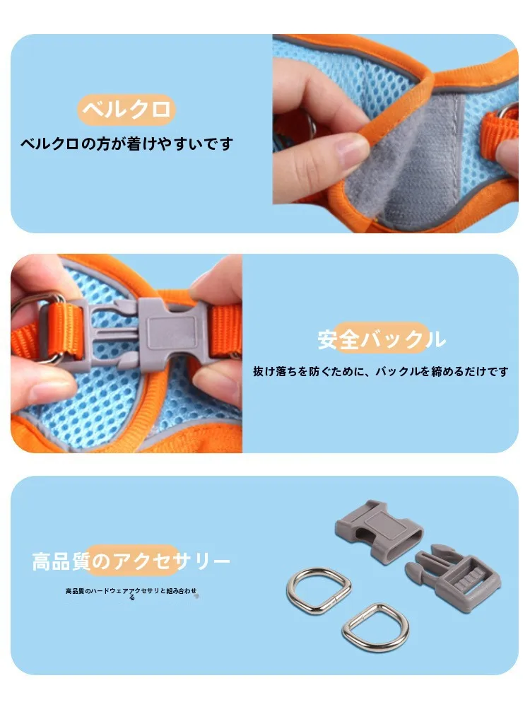 犬のお散歩グッズをコスパ良く揃える方法｜サイズ・色選びの実測ガイド