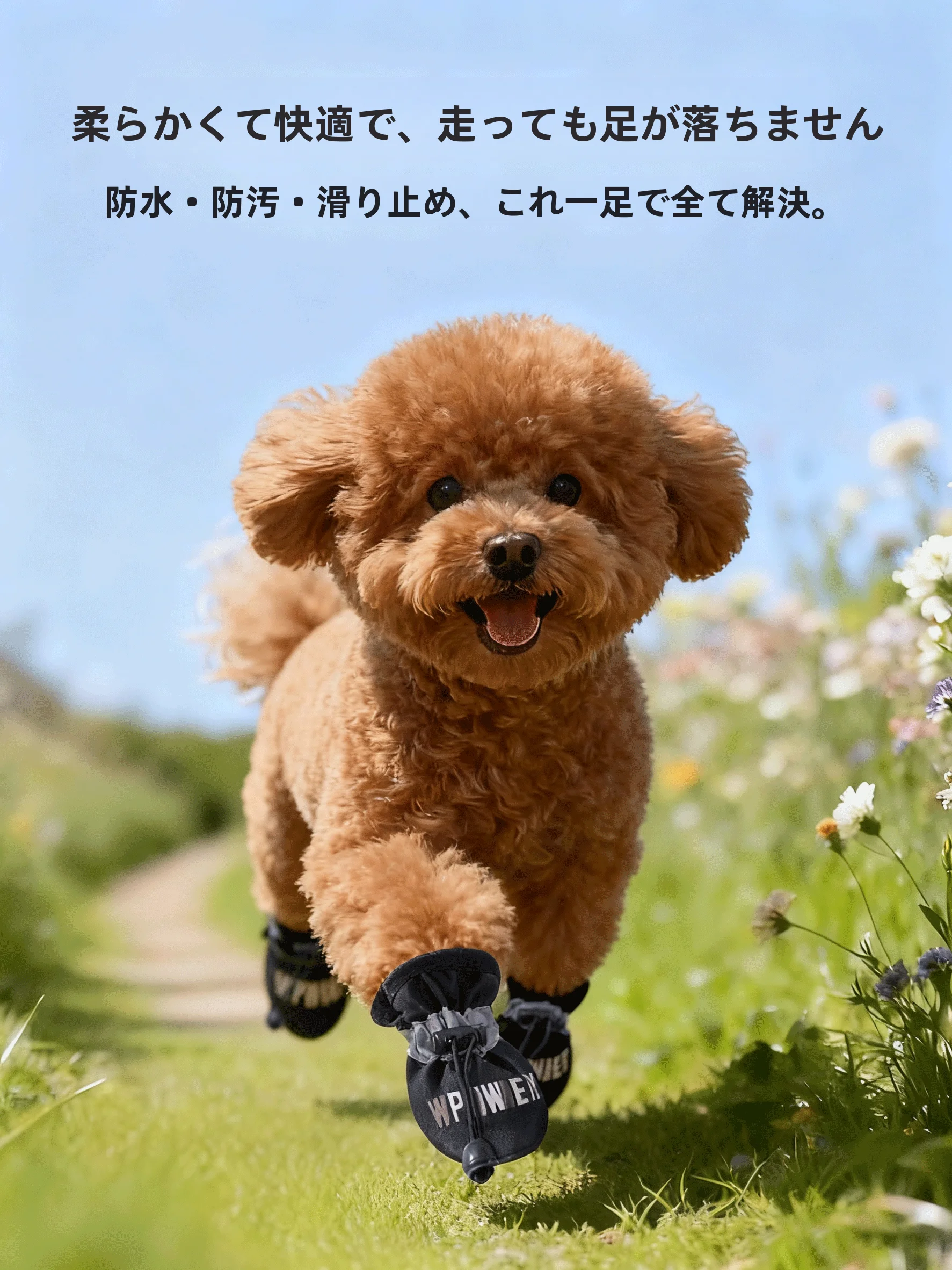 子供向けペットの安全な散歩サポート：hipidog 軟底防水シューズの実用性と使い方