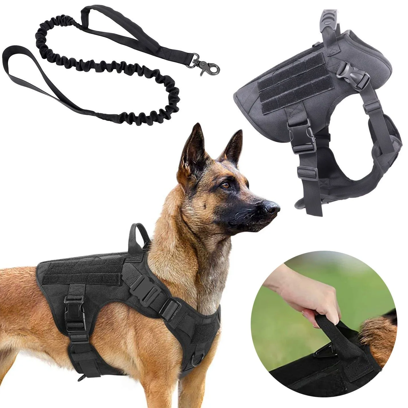 犬のお散歩グッズをコスパ良く揃える方法｜迷彩柄タクティカルハーネスの実用性と選定ポイント