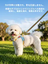 通気性のある犬用ハーネスリード【軽量・首に負担をかけない・脱出防止・ビションフリーゼ用】