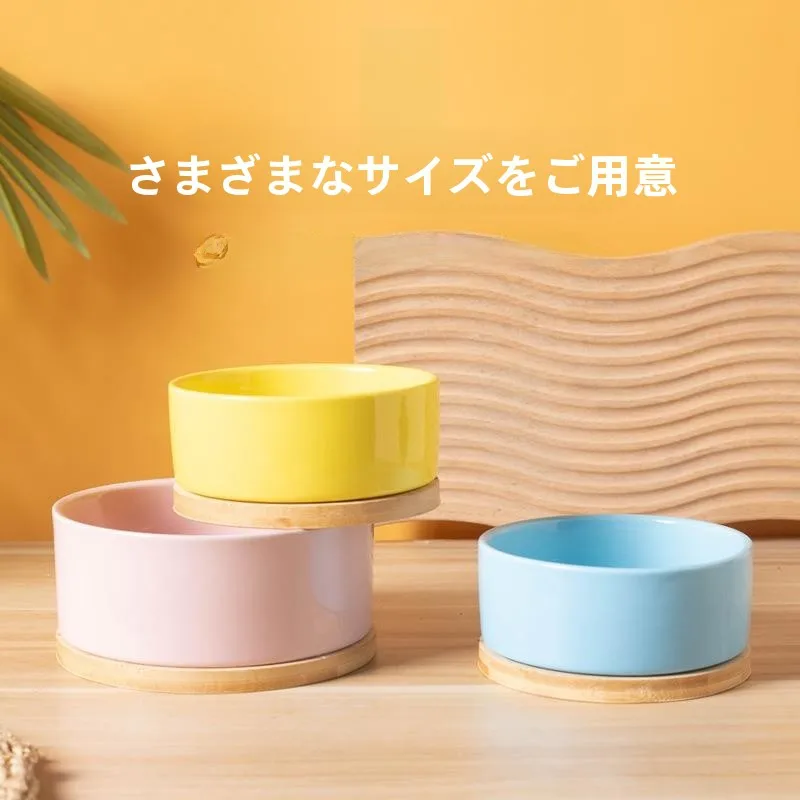 猫飼いが買ってよかったもの・悪かったもの正直に言う｜飲水器の選び方と猫の健康のつながり