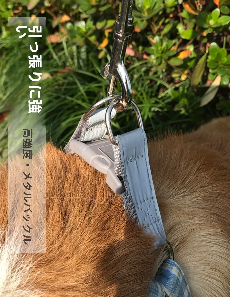 犬のお散歩グッズをコスパ良く揃える方法　中小型犬向けハーネスリードの選び方徹底解説
