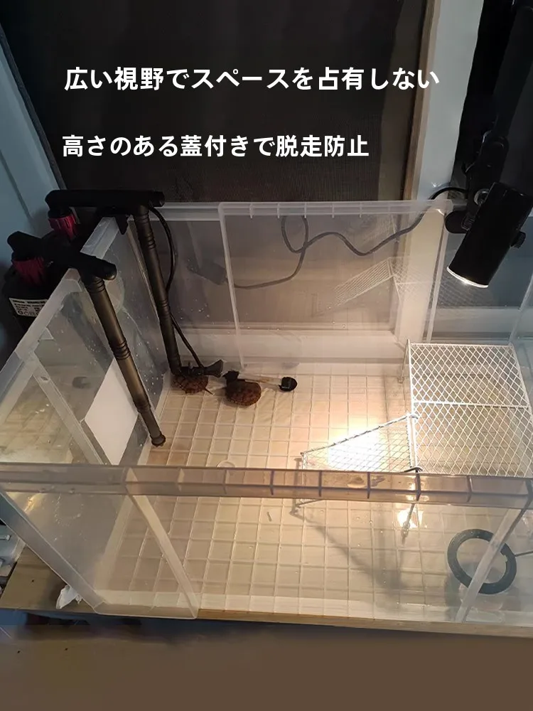 メダカ稚魚飼育に最適な透明プラスチックアクアリウムボックスの選び方