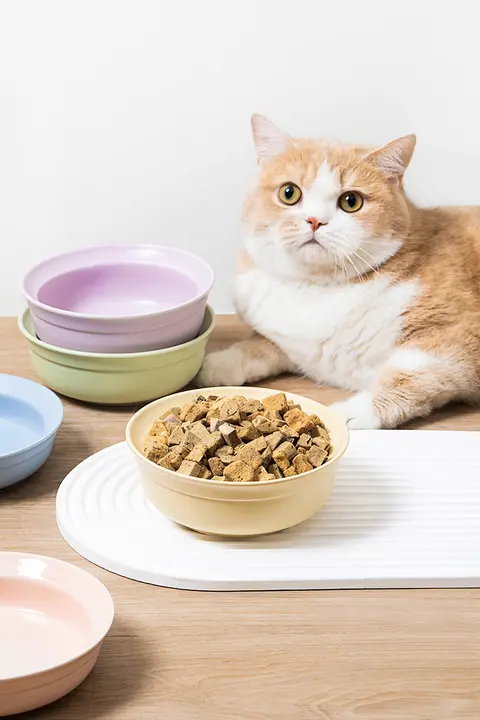 陶器製 猫用食器【フードボウル・水ボウル・おしゃれデザイン】