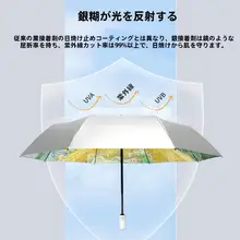 知伞 バンゴッホ 全自動 サンブロック傘【UVカット・折りたたみ・晴雨兼用】