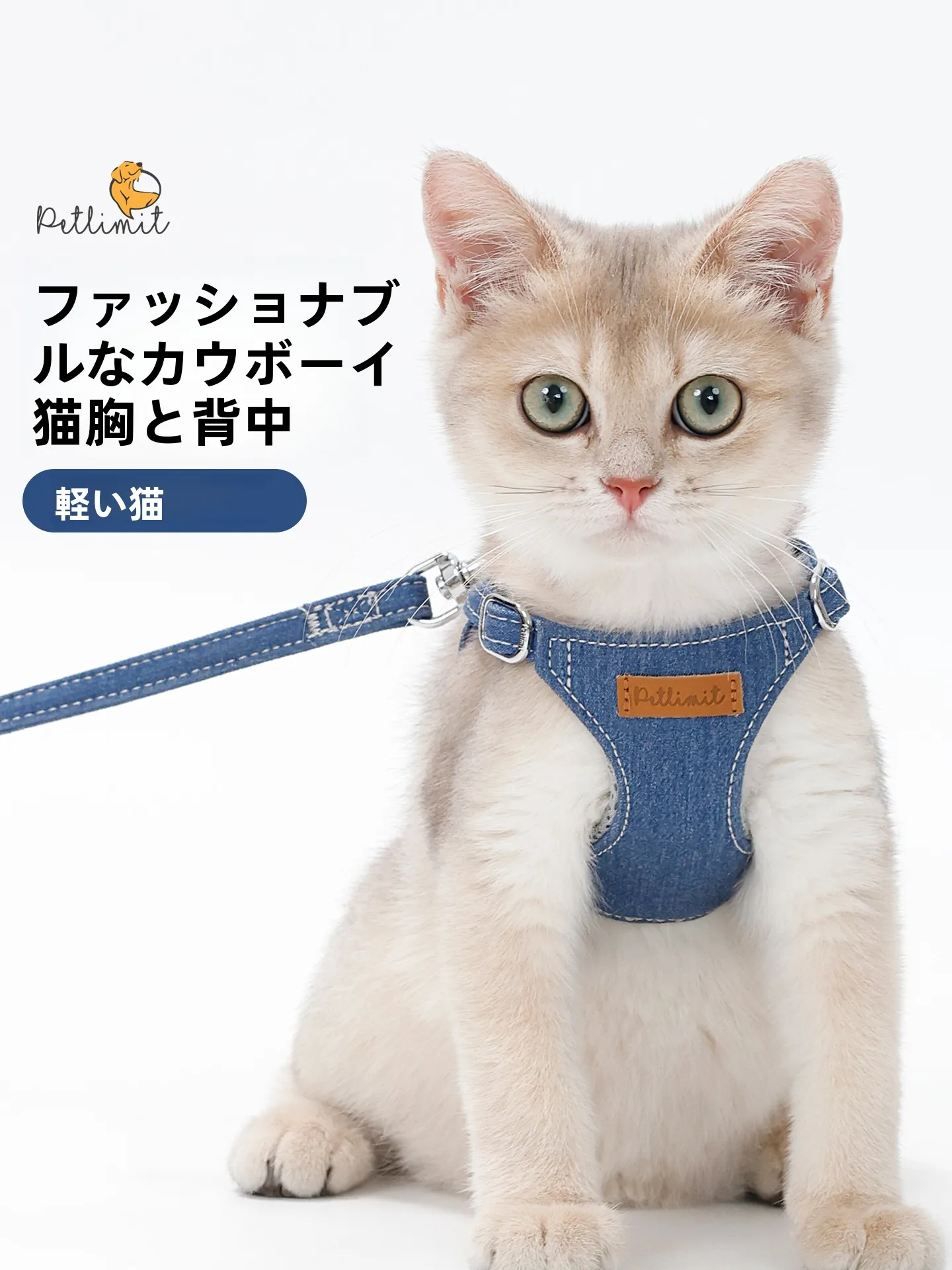 猫飼いが買ってよかったもの・悪かったもの正直に言う｜外出時の安全確保ガイド