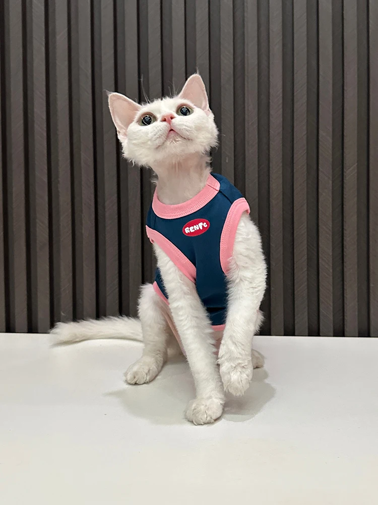 猫に着せたい服は、本当に必要なの？純綿のスフィンクス用タンクトップが話題になる理由