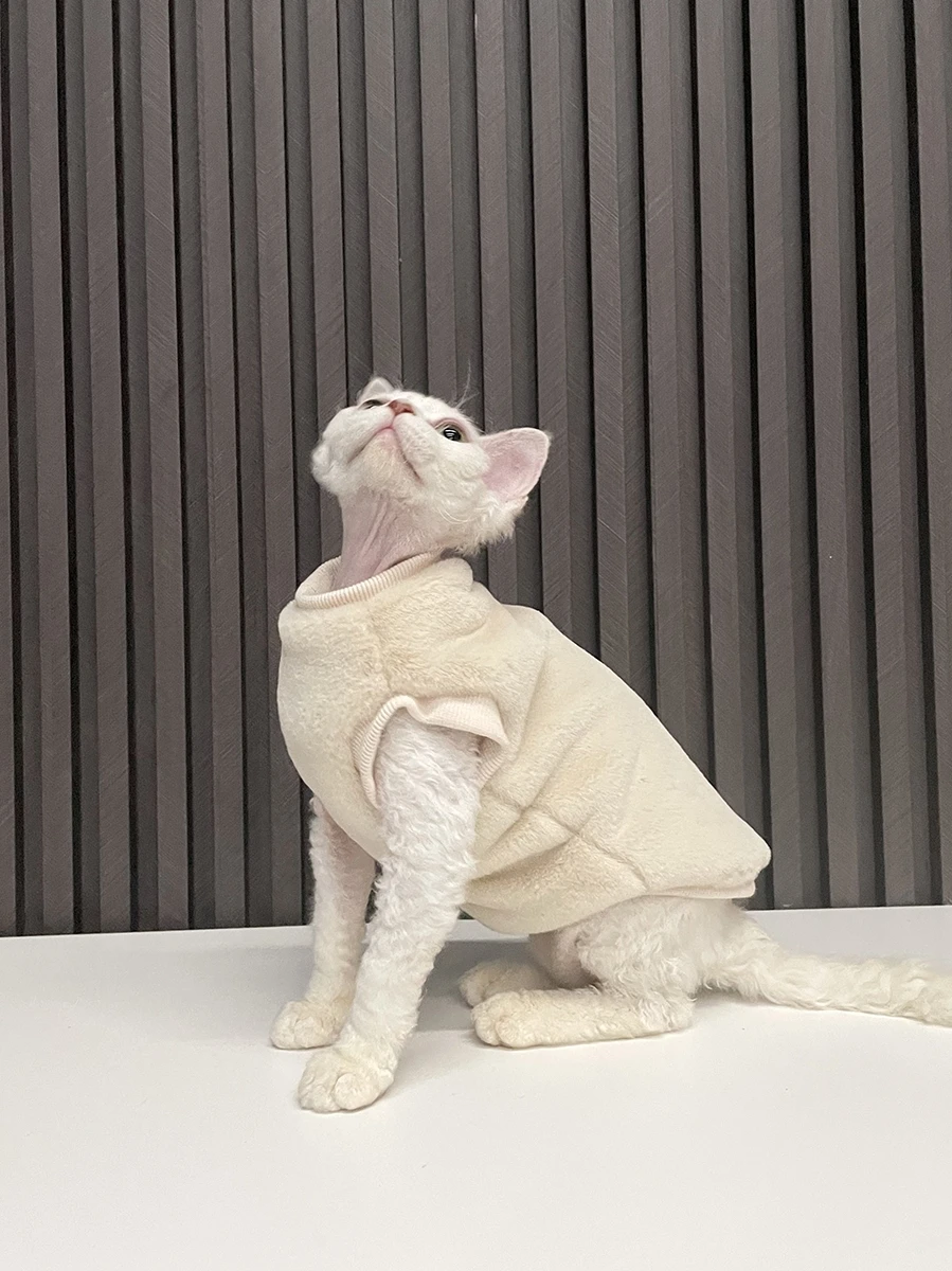 スフィンクス猫用毛無衣服：一人暮らしに最適な冬用保温ベストの実用性と使い方