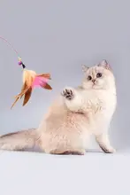 猫じゃらしおもちゃ【鈴付き・羽根・ステンレス製スティック・自動ペット用品】