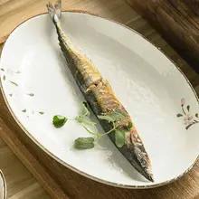 陶磁製 魚皿 【家庭用・寿司用】