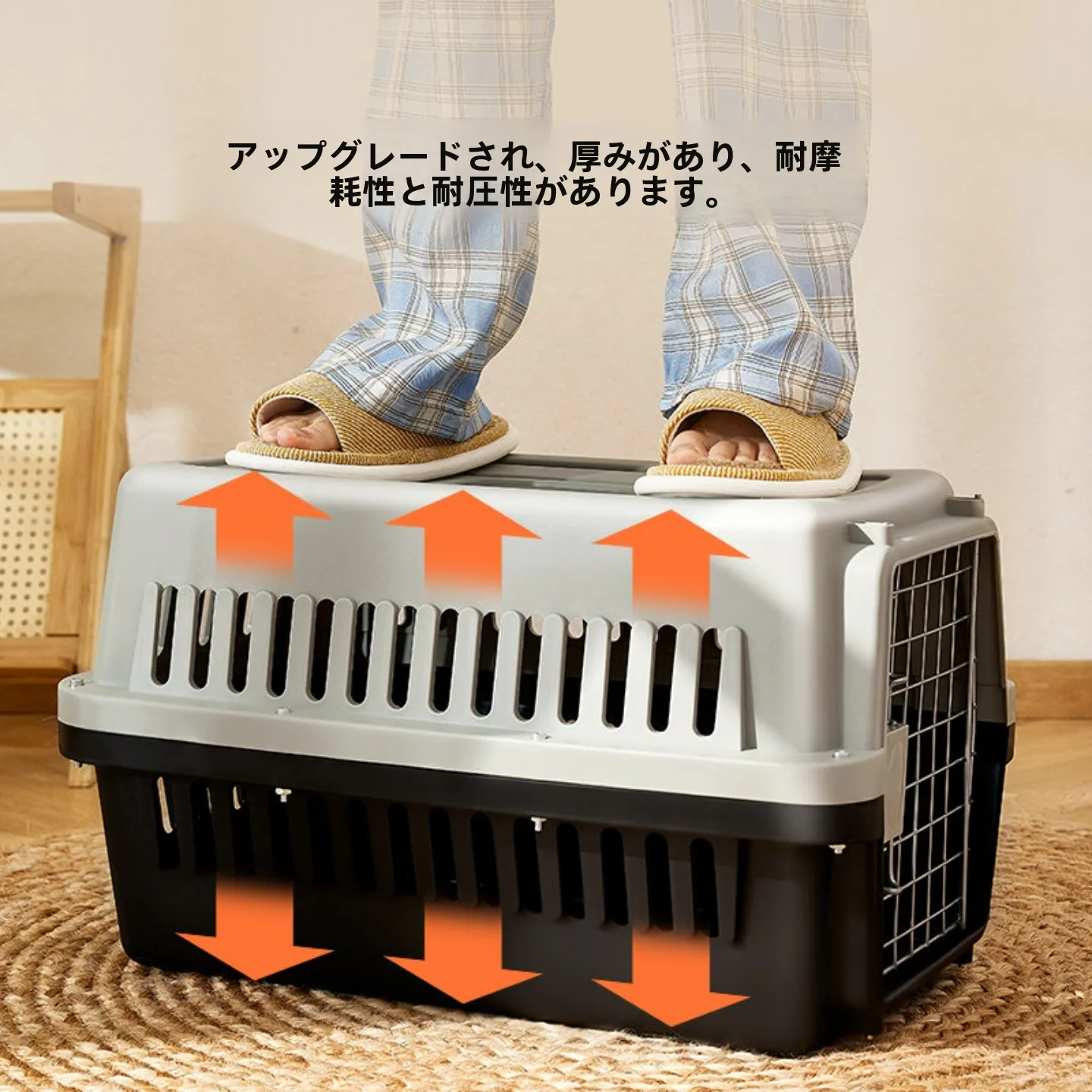 災害時や引っ越しでペットを安全に守るための「キャリーケース」は、本当に必要なのか？