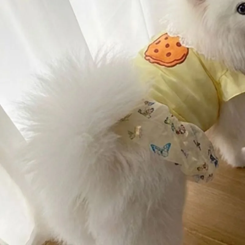 可愛いデザインの犬用ドレス：中型・大型犬対応のチュールスカートで四季を楽しむ