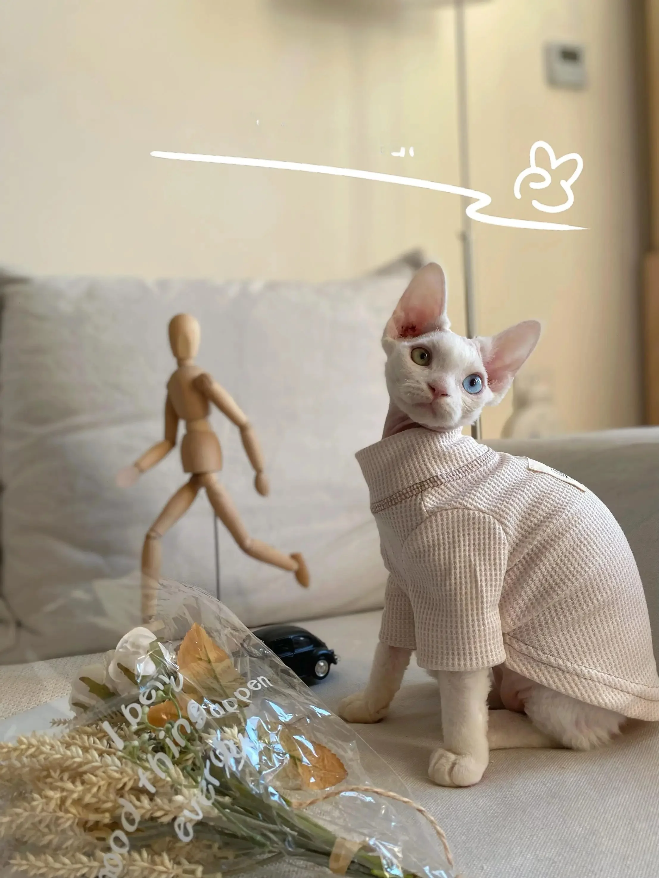 猫飼いが買ってよかったもの・悪かったもの正直に言う：春夏用スフィンクス猫用ワッフル生地のコットンTシャツ