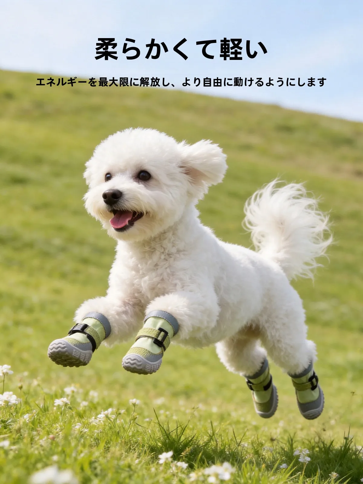 ペットと過ごすおうち時間を快適にするグッズとして、どんなスニーカーがおすすめ？